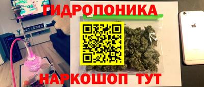 мдпв Заводоуковск