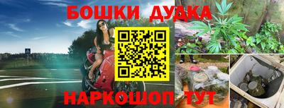 мдпв Заводоуковск