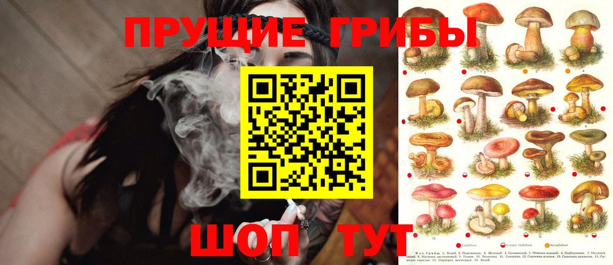 Галлюциногенные грибы MAGIC MUSHROOMS  Галлюциногенные грибы GOLDEN TEACHER  купить   Вход с VPN  Ливны 