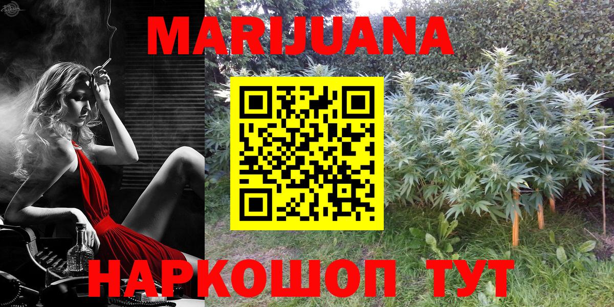 Каннабис OG Kush Ливны
